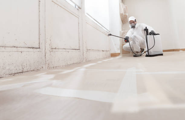 24/7 Emergency Black Mold Remediation experts in Rocky Mount, NC